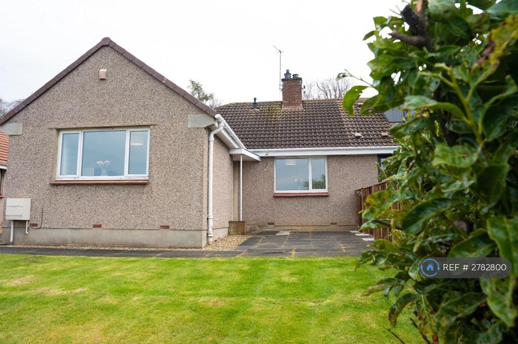 Front Garden View 2