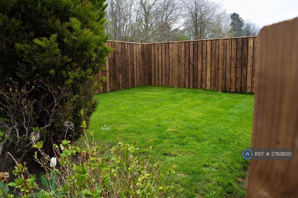 Rear Garden View 2