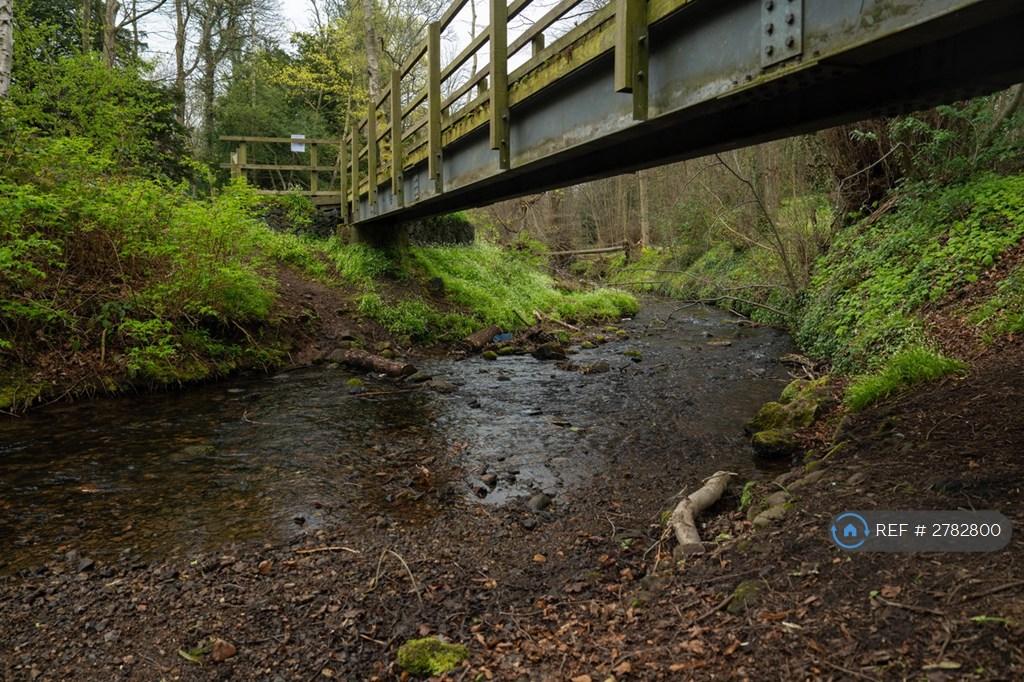 Dreghorn Woods