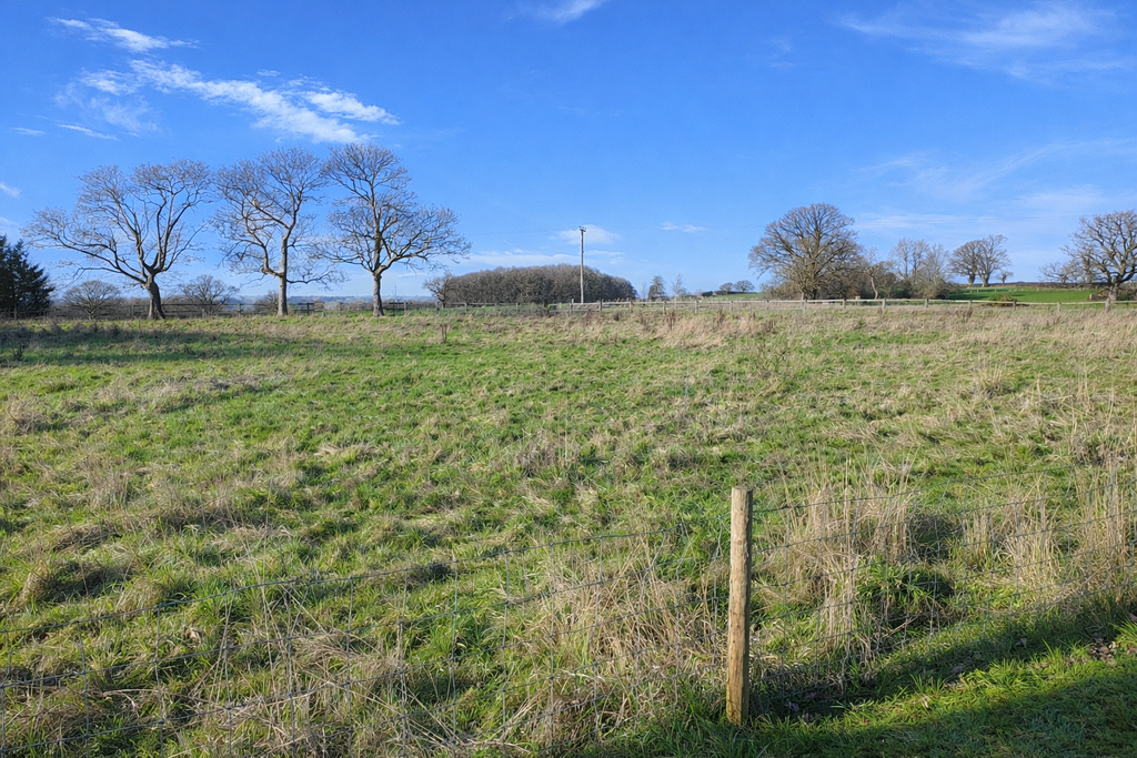 2 Hinton Court - paddock