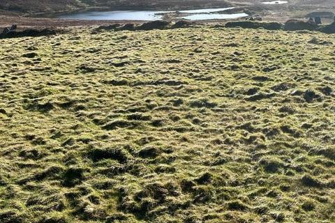 undefined, Y Fron,  Caernarfon