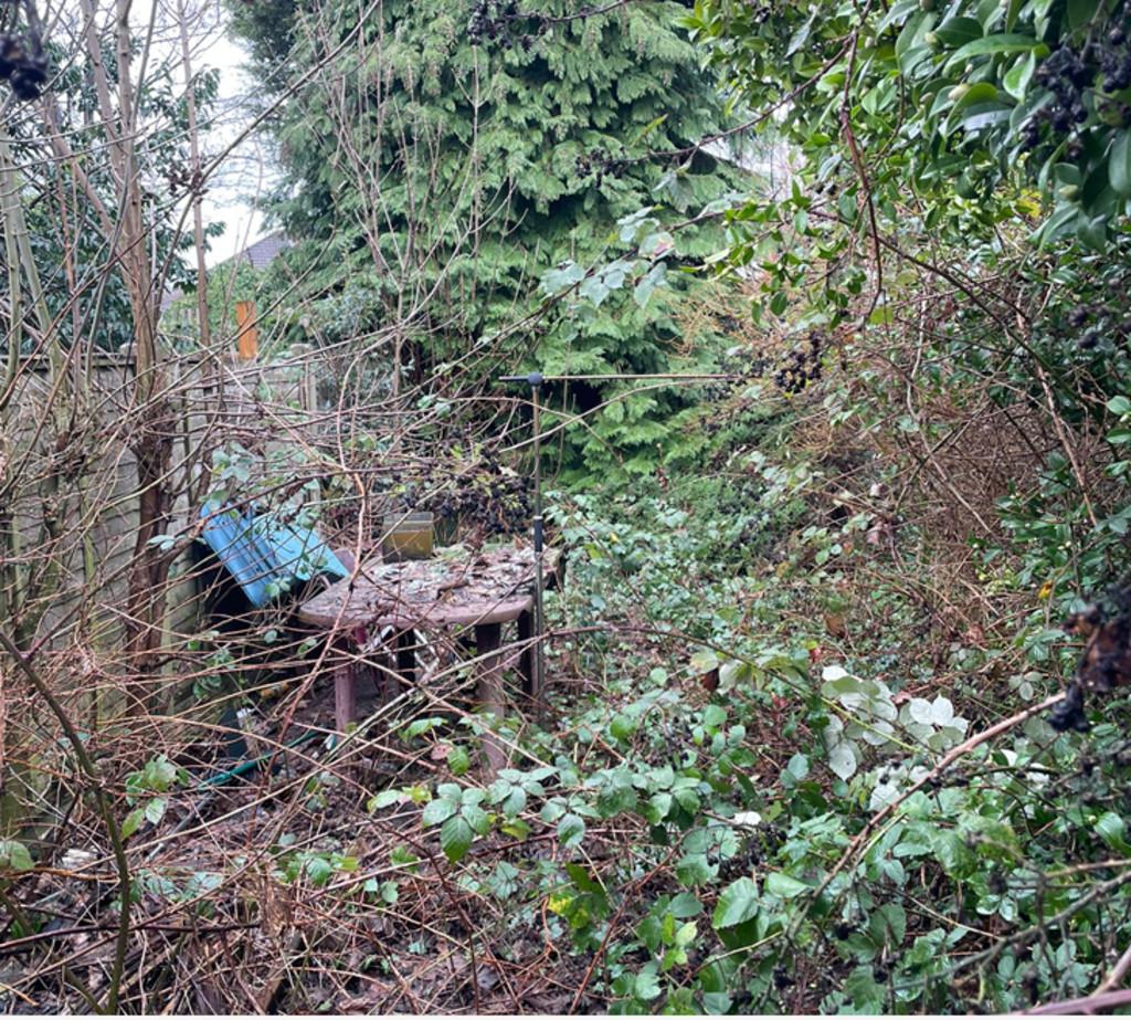 Rod garden
