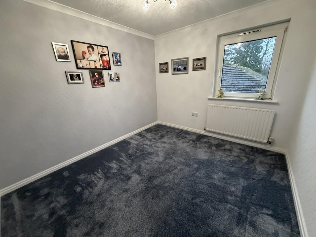 Img 0993