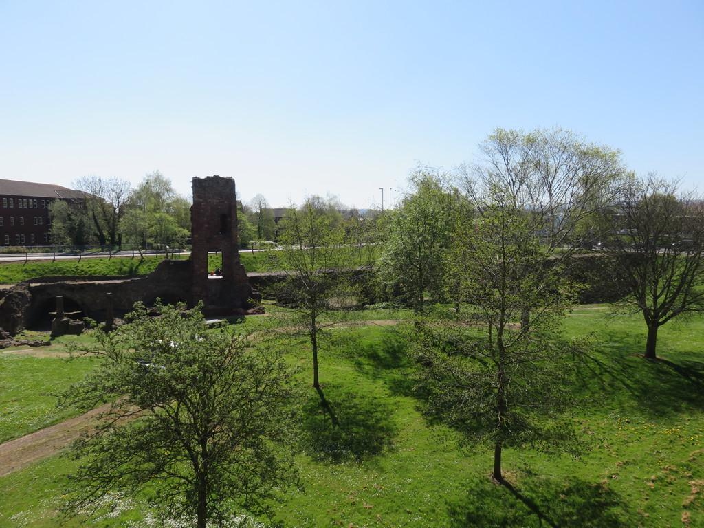 Img 0533