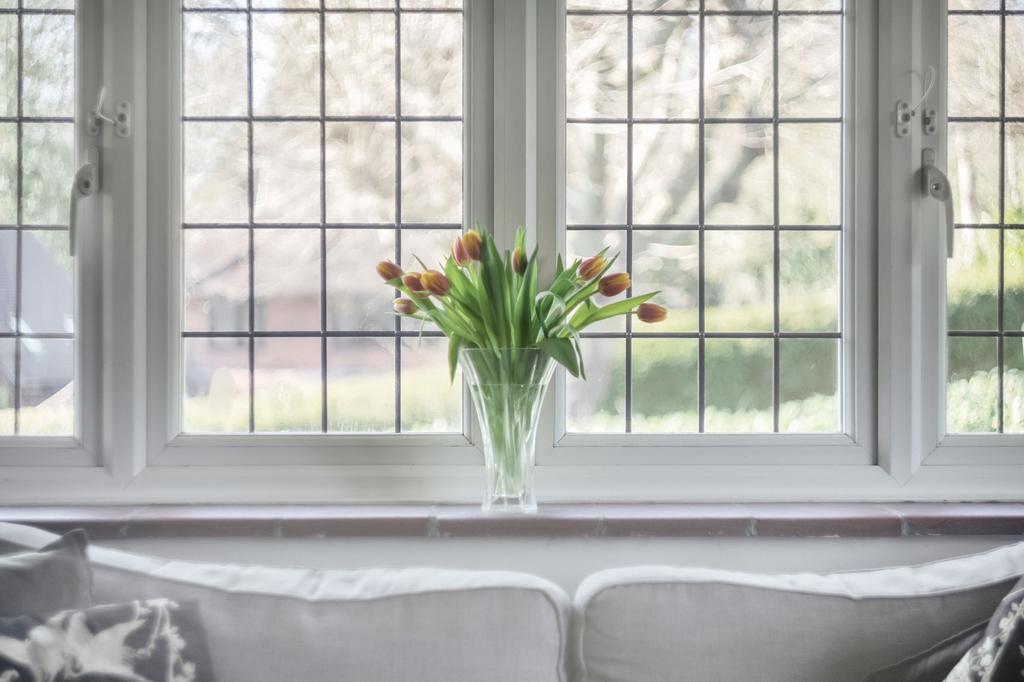Living Room Windows