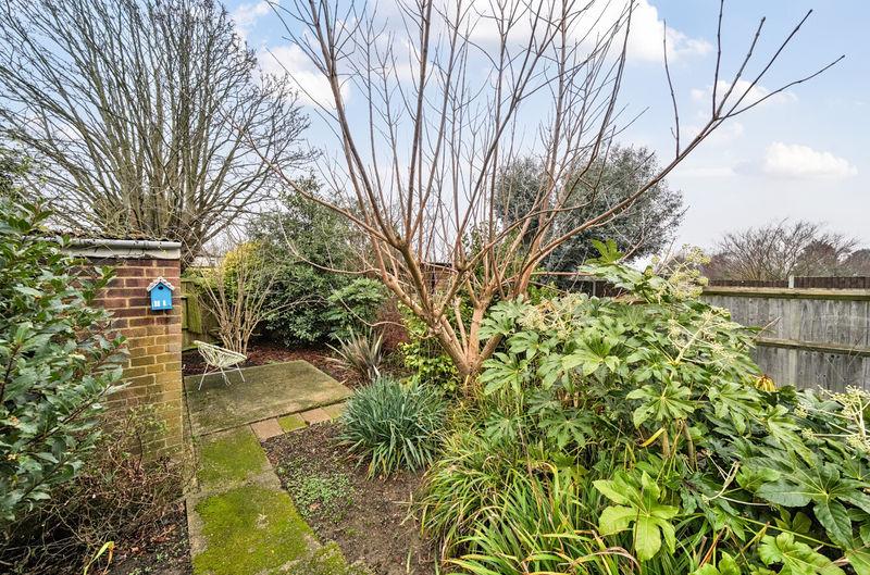 Rear garden angle 2