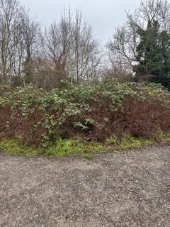 undefined, Greenbank Gardens, Bath
