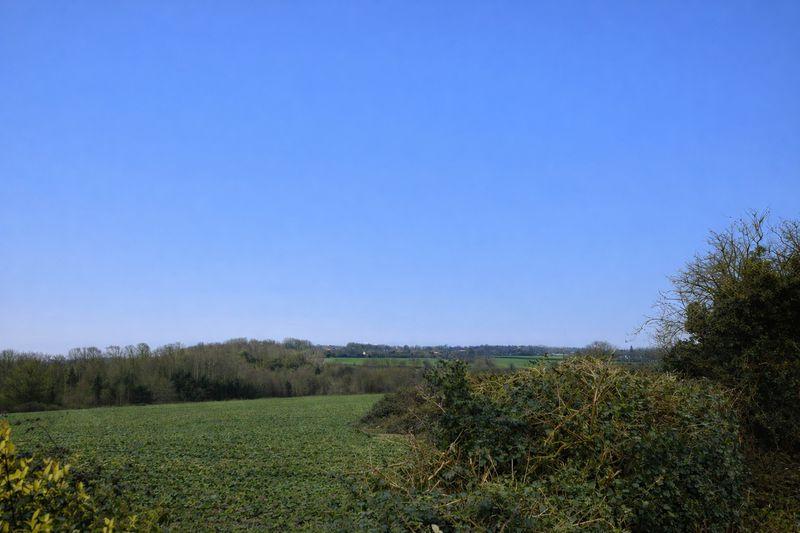 Photo 34