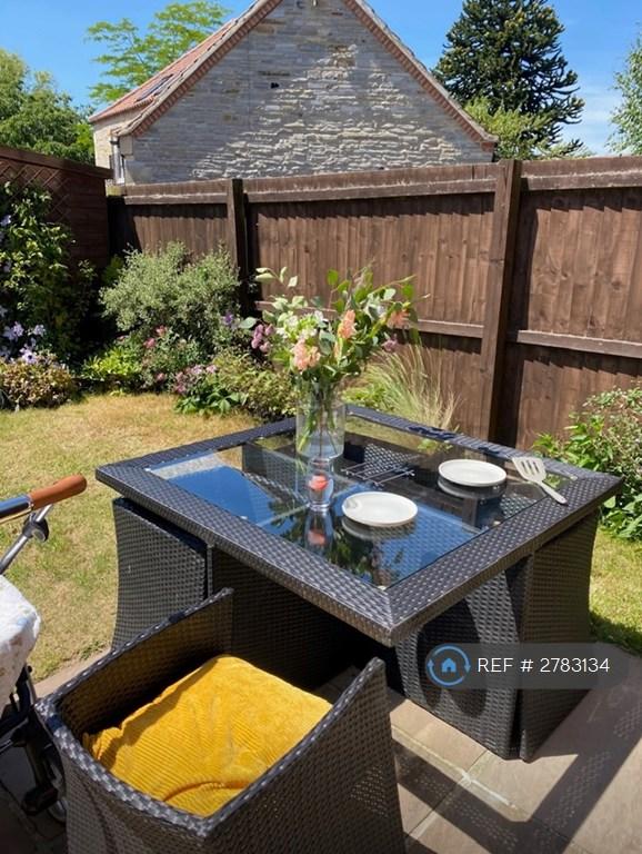 Back Garden