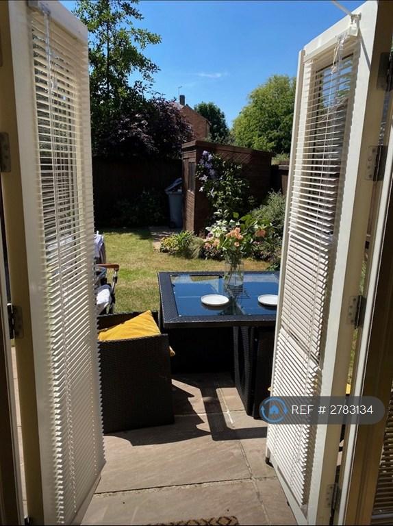 Back Garden