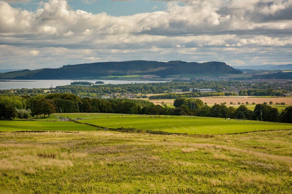Far Reaching Views