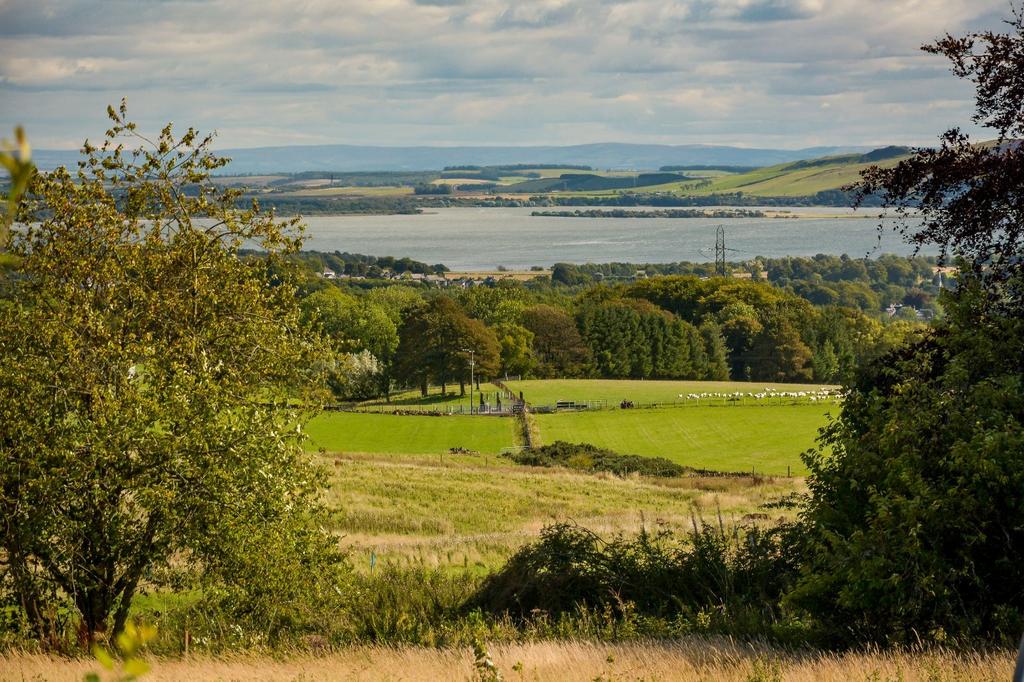 Far Reaching Views