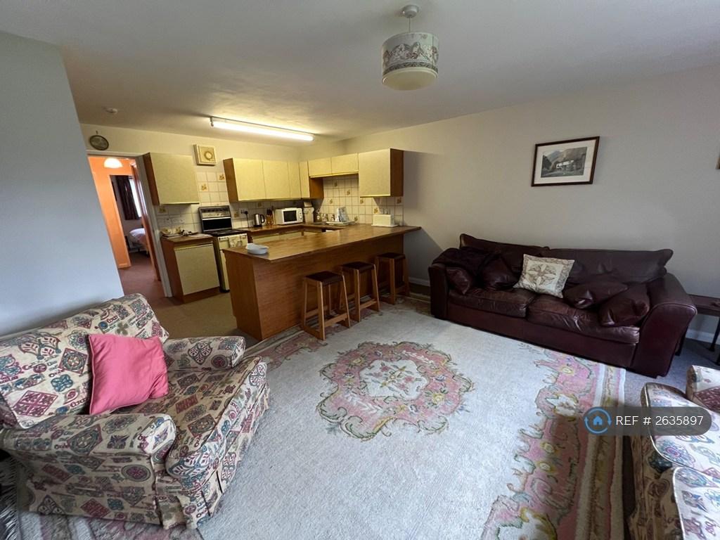 Living Room / Kitchen