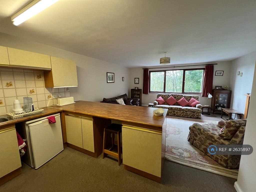 Living Room / Kitchen