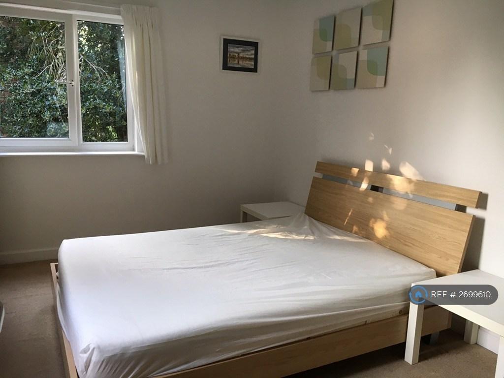 Back Bedroom