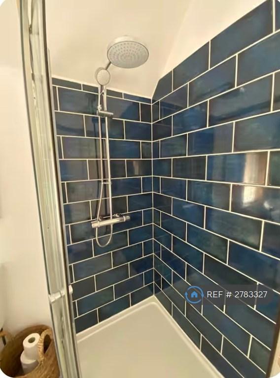Rainfall Shower