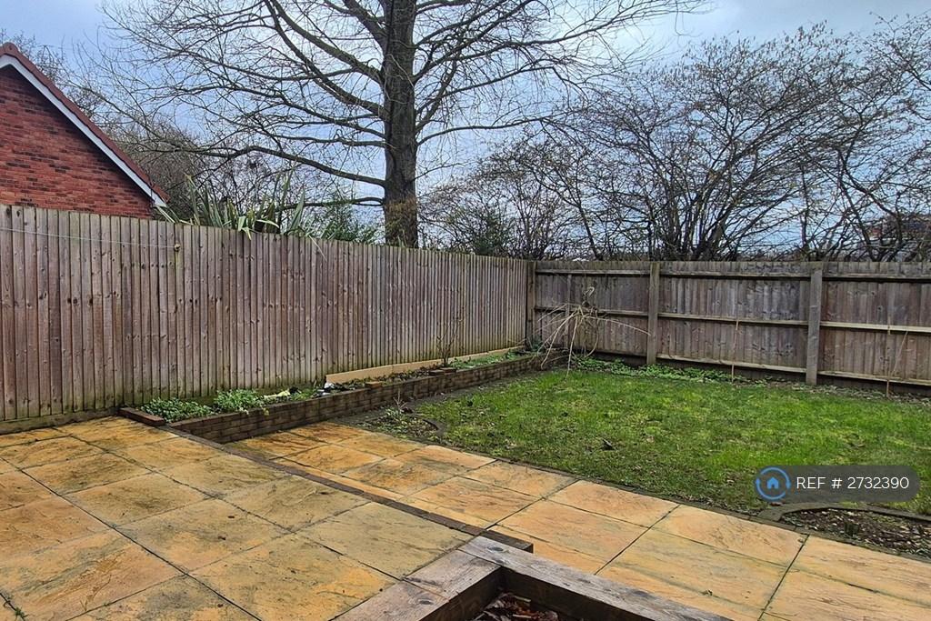 Back Garden
