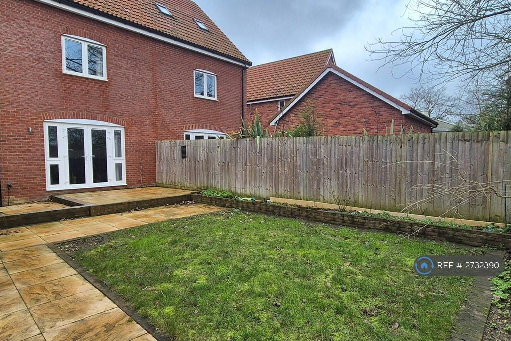 Back Garden