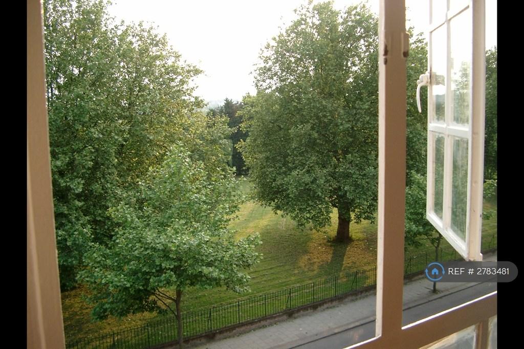 View From Window