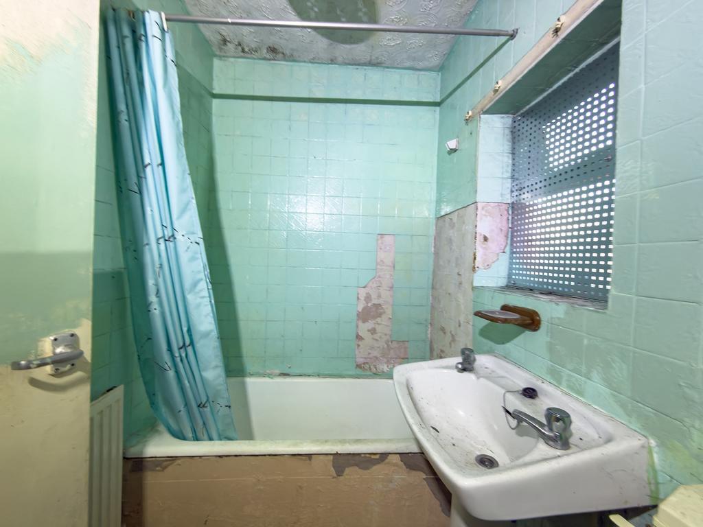 IMG 0713 T202602051444.jpg