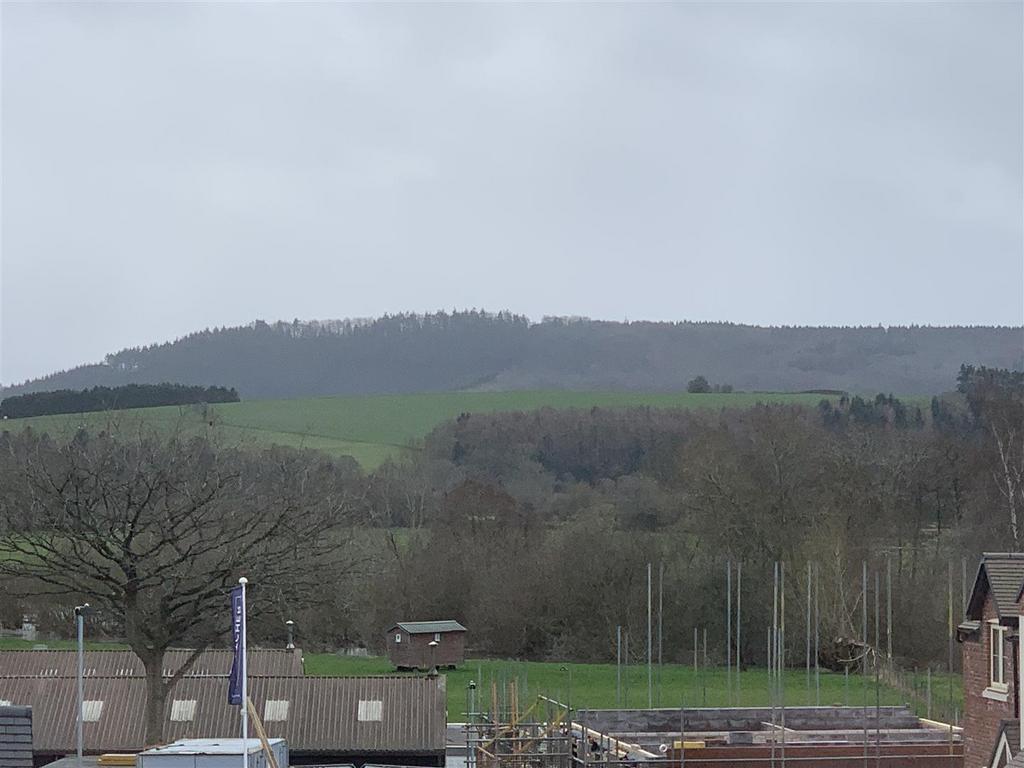 View.jpg