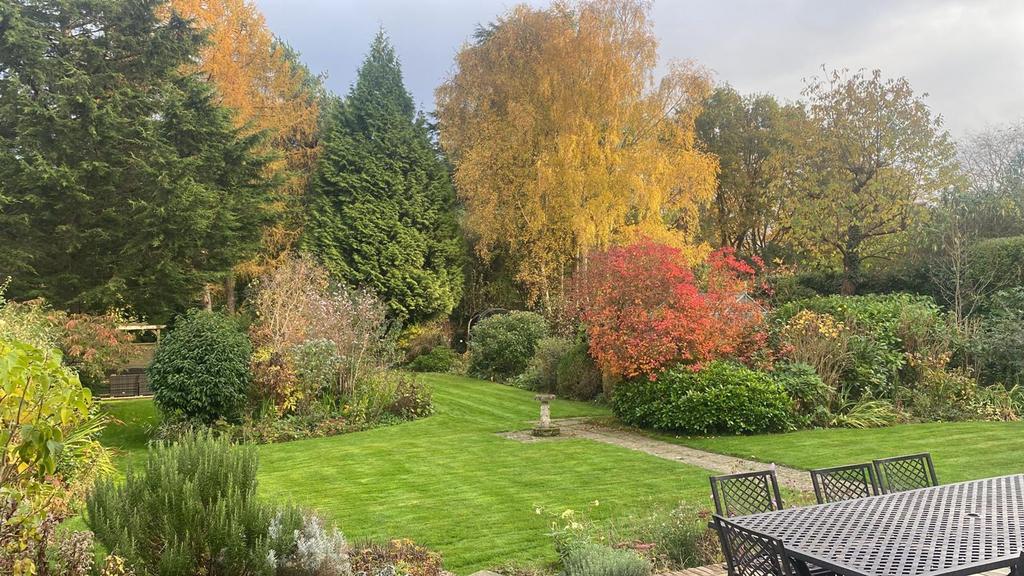 Garden in Summer