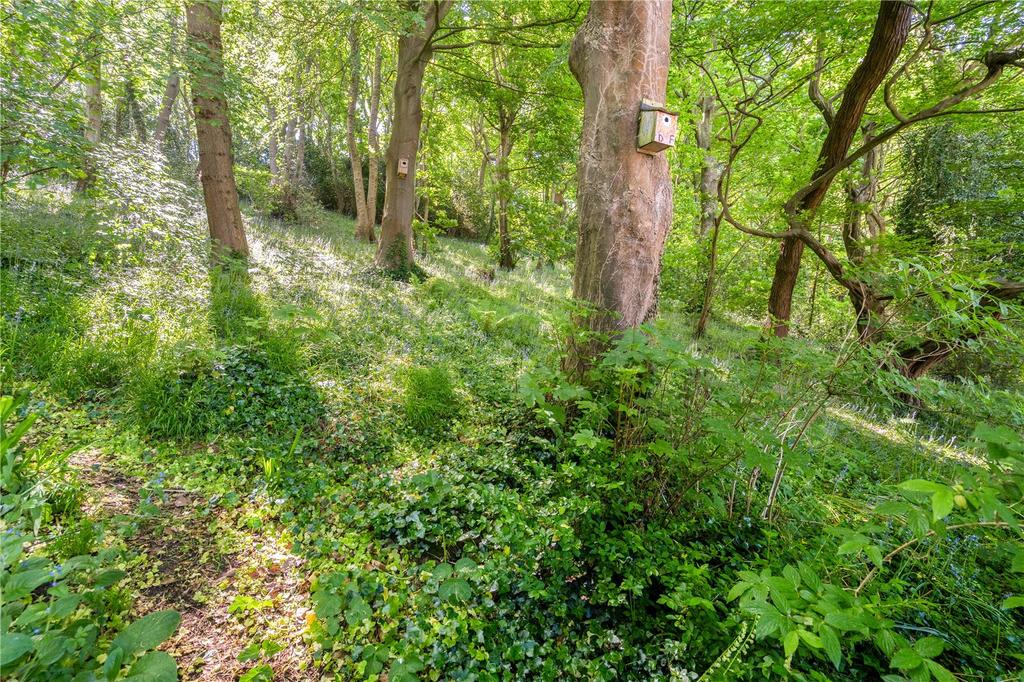 Woodland