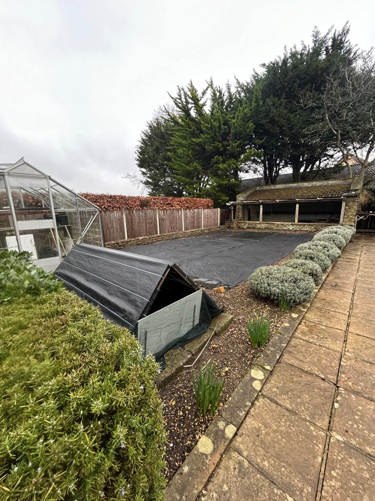 Garden  2