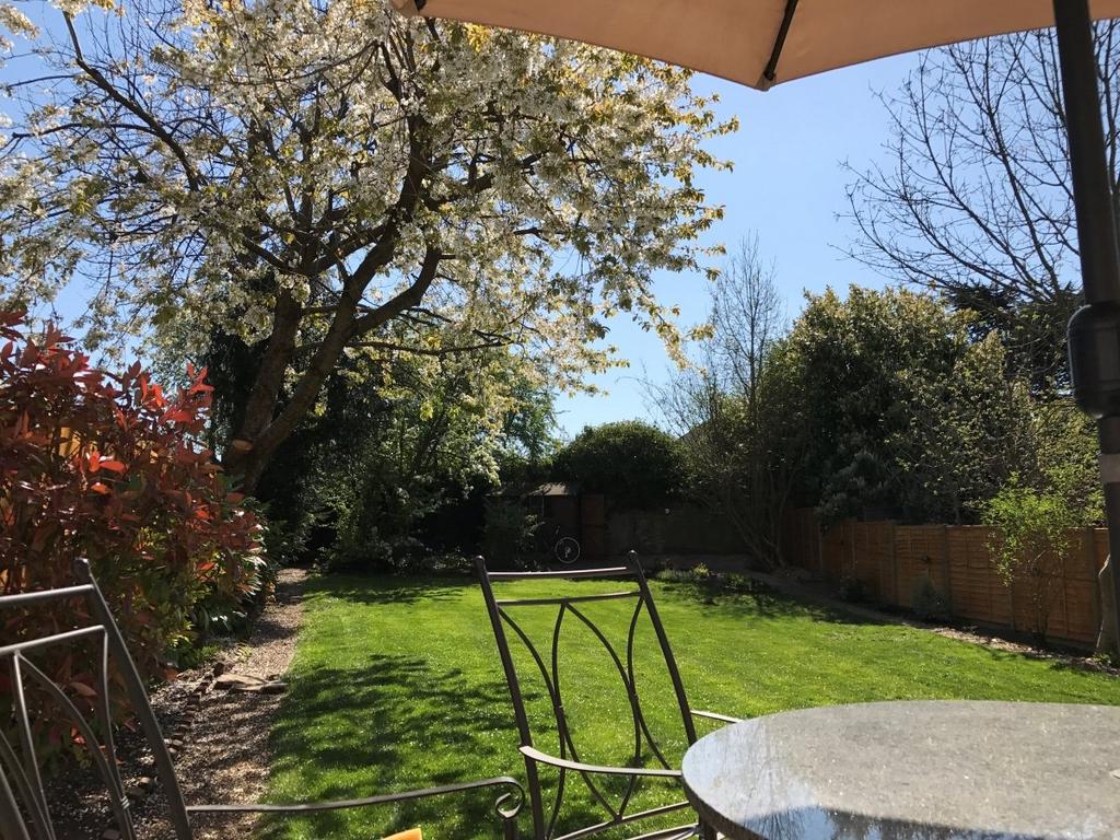 Garden 1