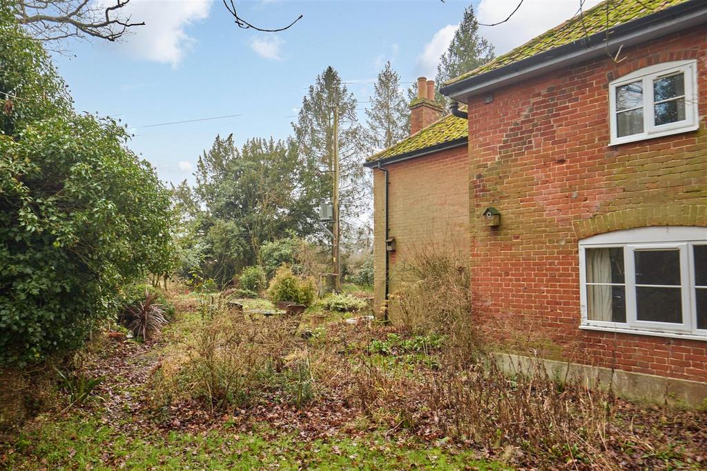 White Cottage 14.jpg