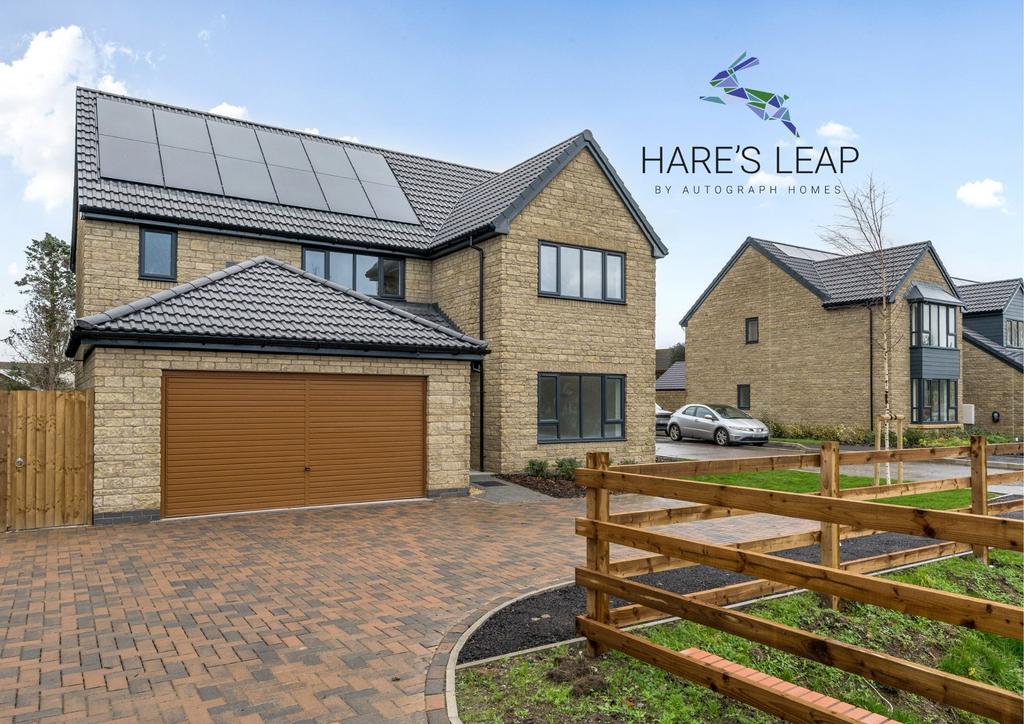Hare'e Leap