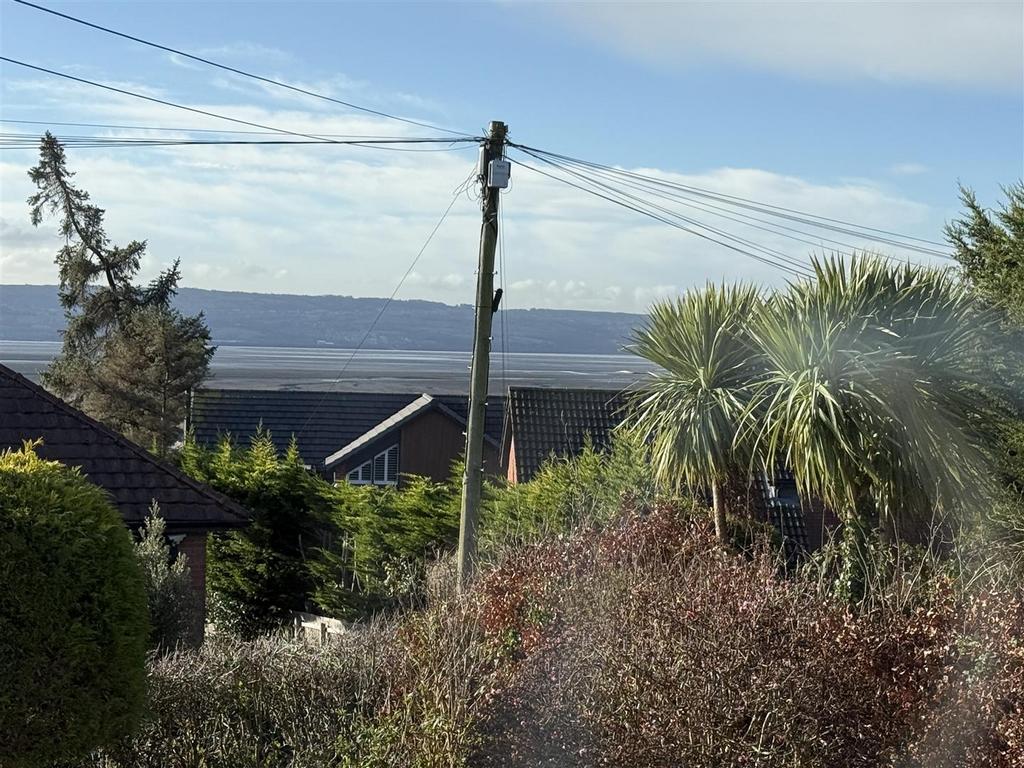 Img 6955 2.jpg