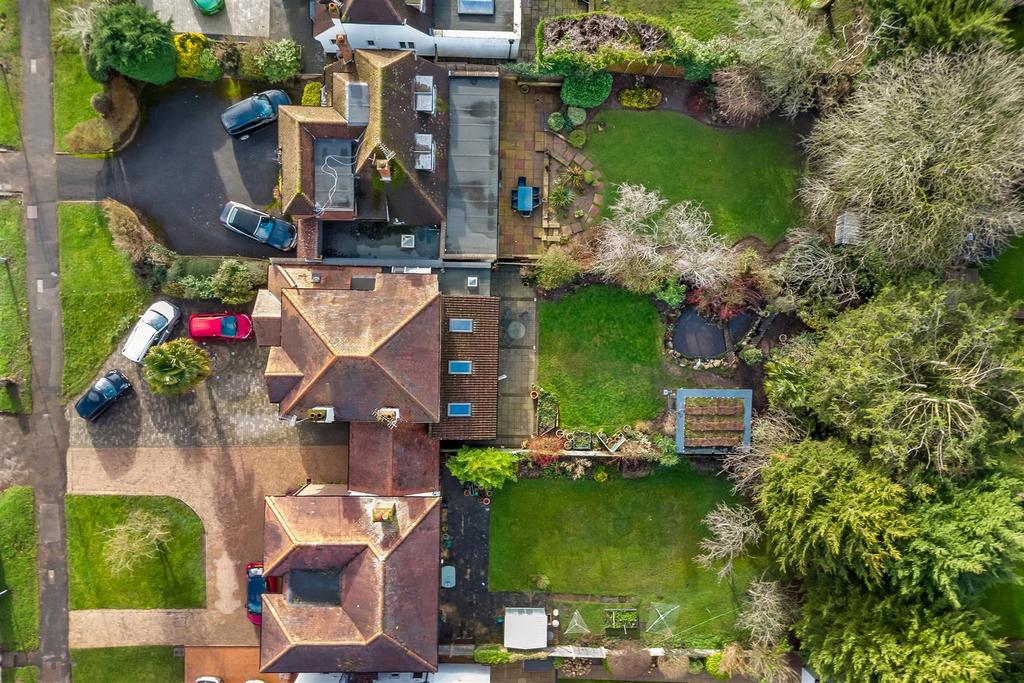 DJI 0977.jpg
