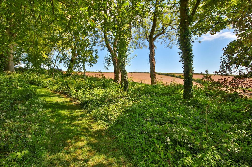 Coleridge House - Grounds 1