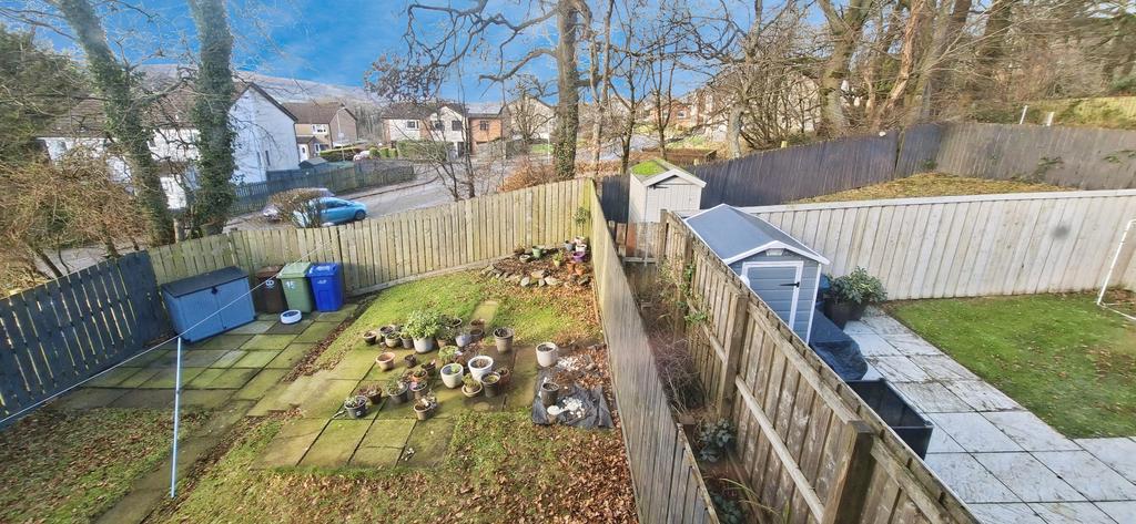 Back garden