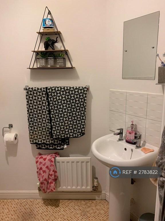 Ensuite Shower Room