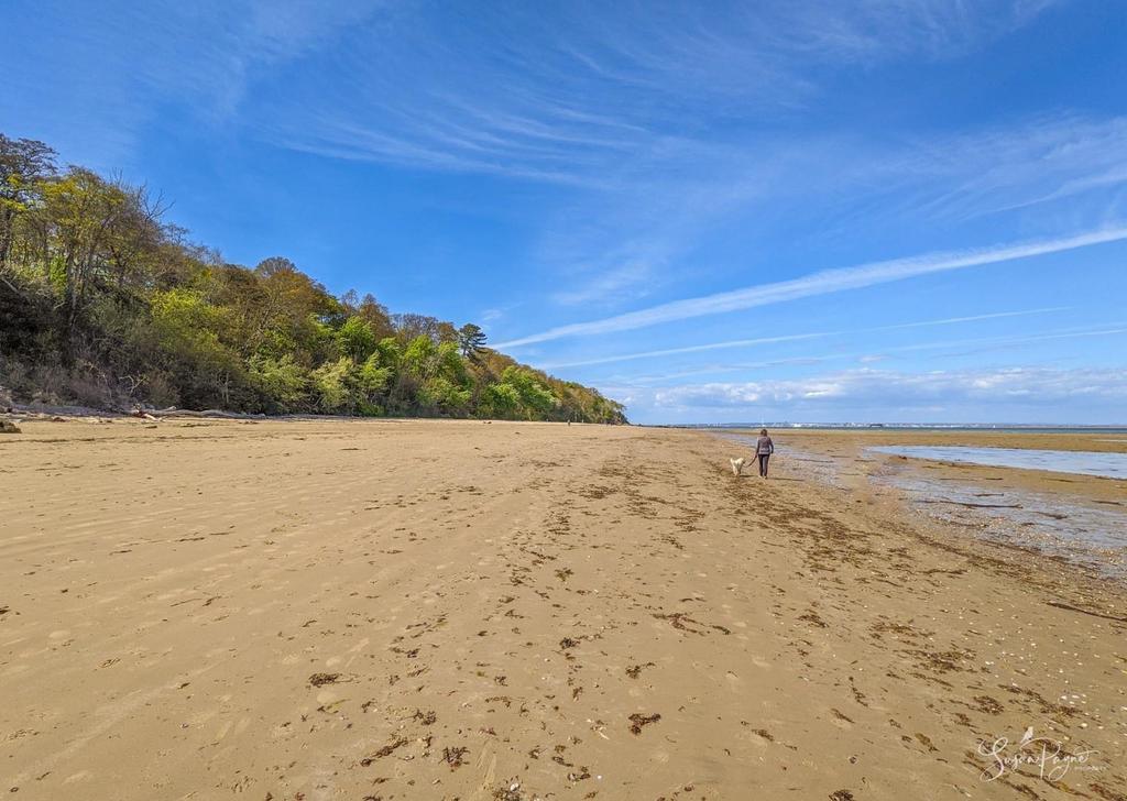 A stroll to Priory Bay