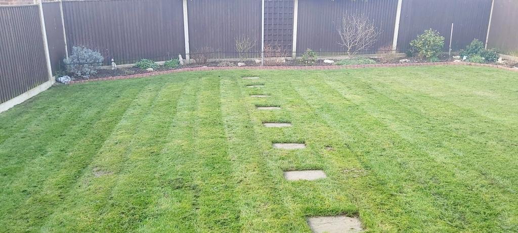 Rear garden  resized