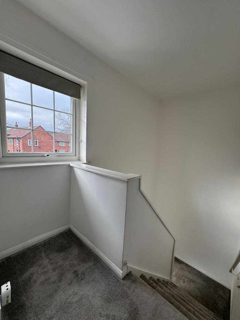 Photograph 28