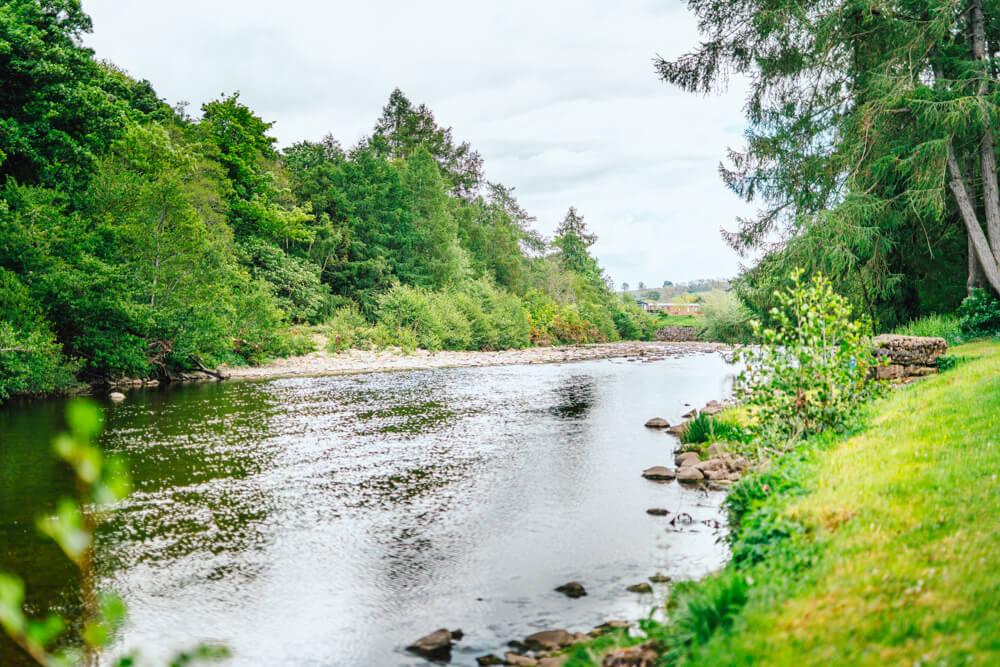 Kingfisher Location