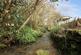 Additional image 28 of Wall Bank, Wall-under-Heywood, Church Stretton, Shropshire, SY6