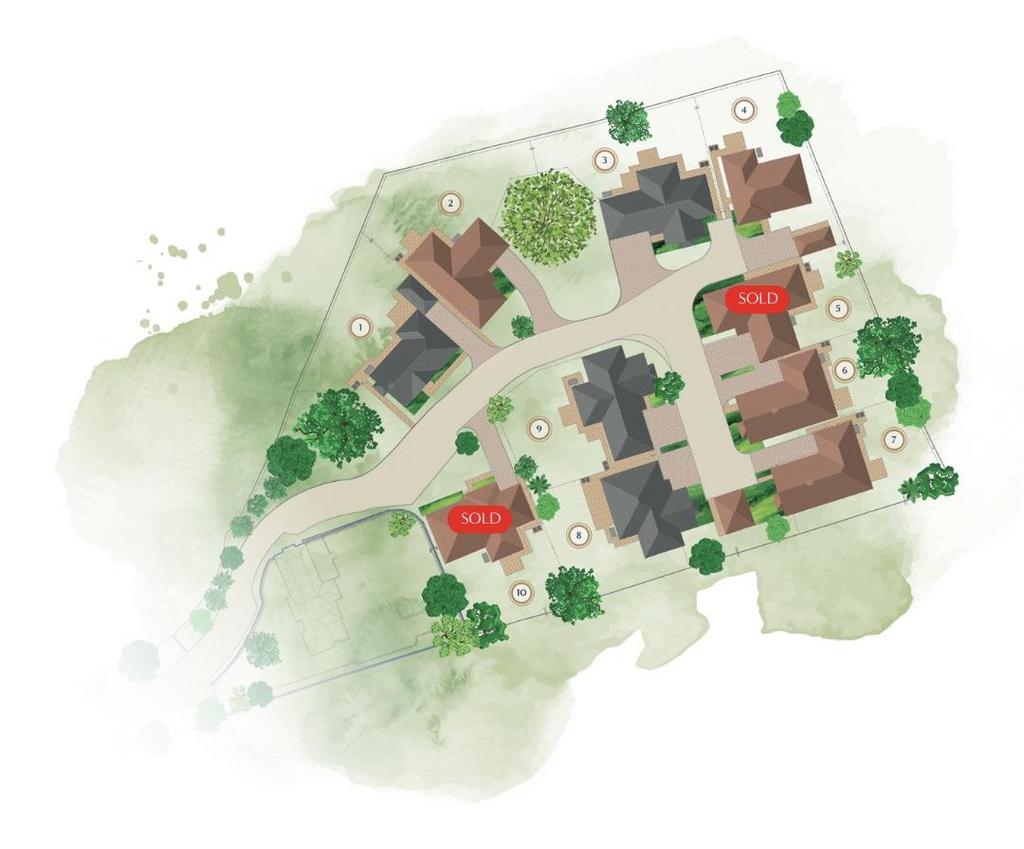Development Plan