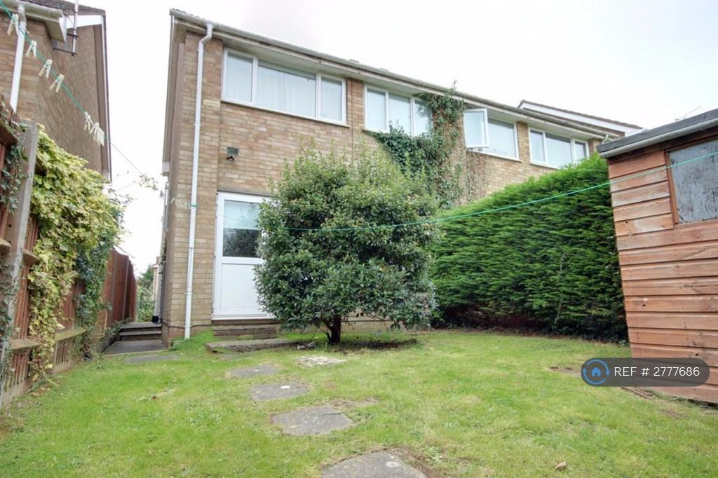 Back Garden