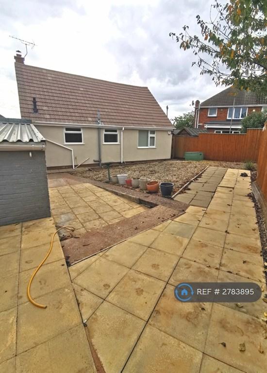 Back Garden