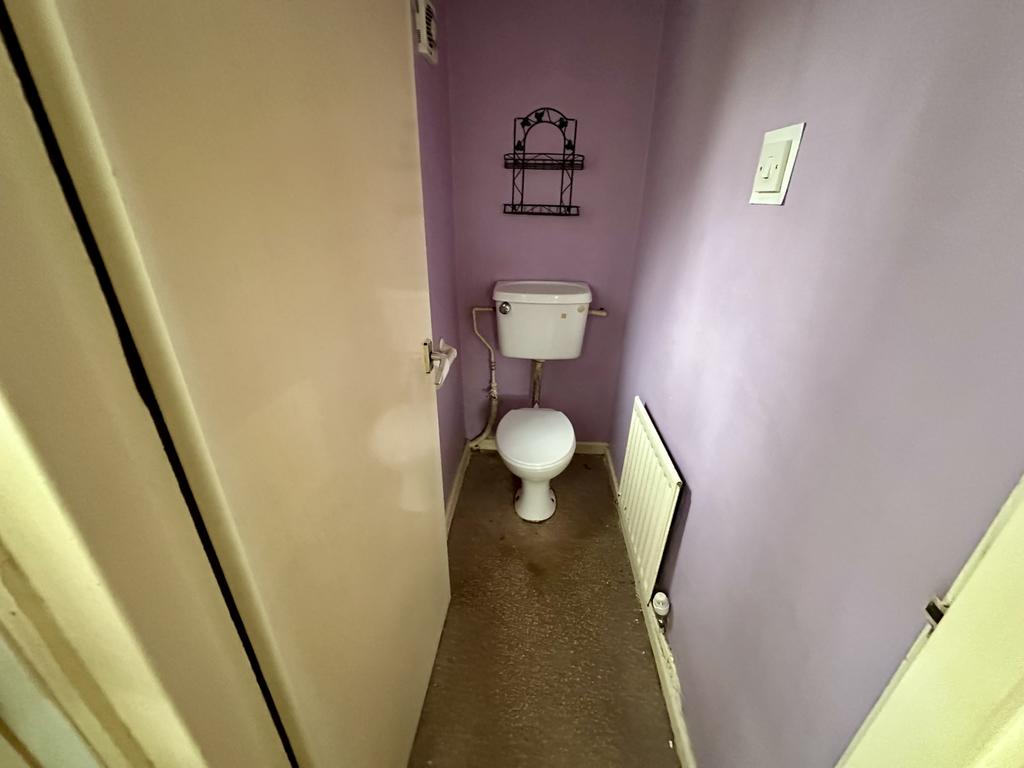 IMG 4802 T202602051309.jpeg