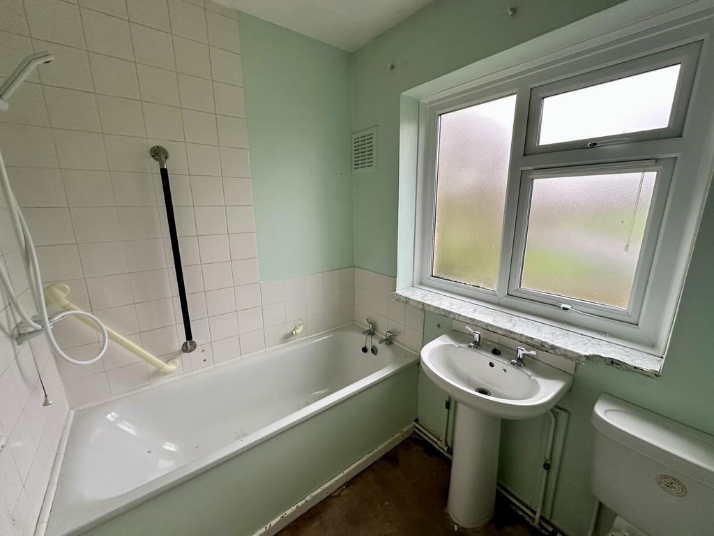 IMG 4754 T202602051253.jpeg