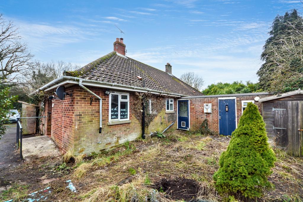 20260127034450 dsc 0544 vmsk3 jpg