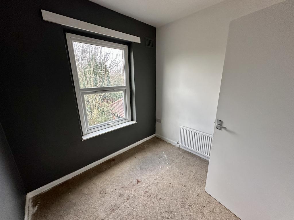 IMG 4892 T202602051159.jpeg