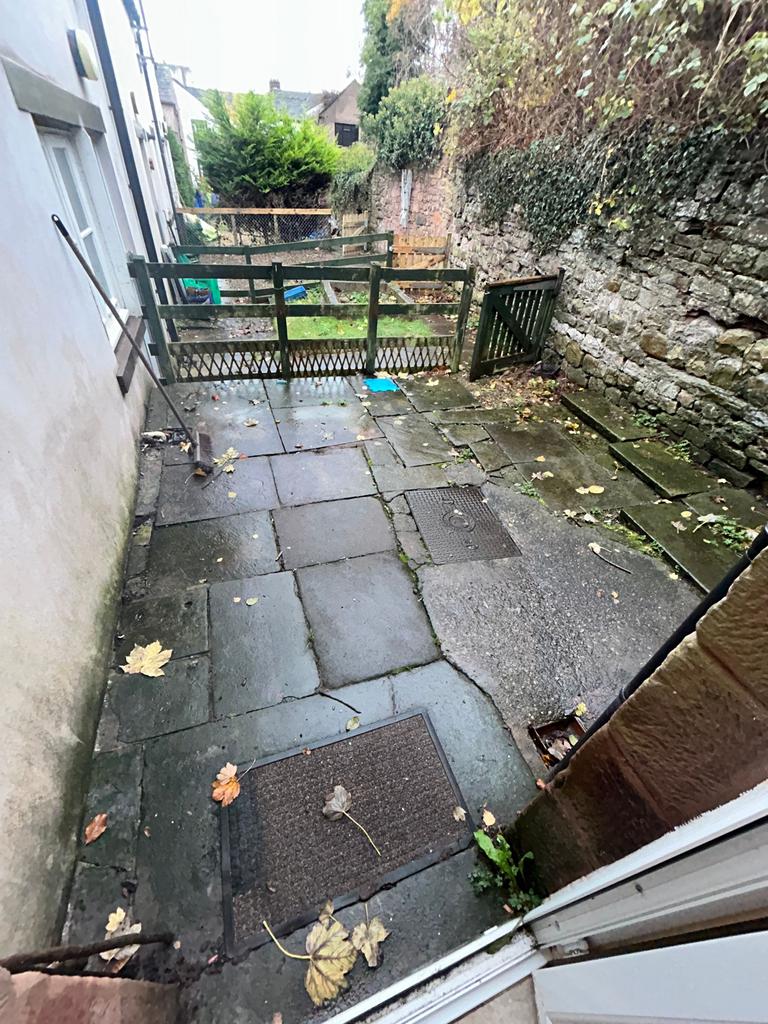 Rear Yard