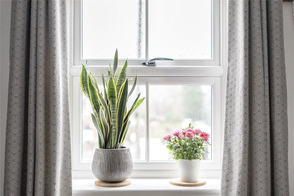 Window